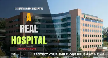 Seattle Grace Hospital: Fact or Fiction?