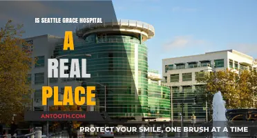 Seattle Grace Hospital: Fact or Fiction?