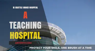 Seattle Grace Hospital: Teaching Status Explored