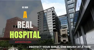 Is SGH a Real Hospital? Unraveling the Truth Behind the Name