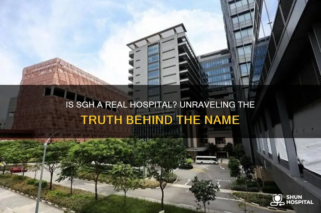is sgh a real hospital
