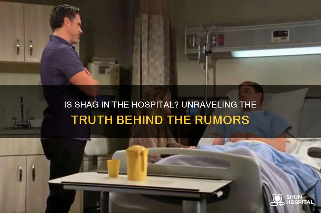 is shag in the hospital