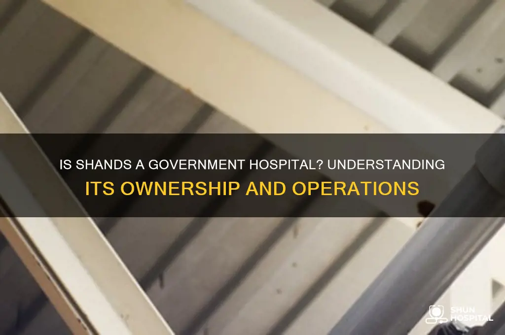 is shands a government hospital