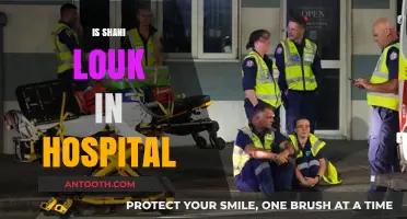 Shani Louk's Hospitalization: Separating Fact from Fiction and Rumors