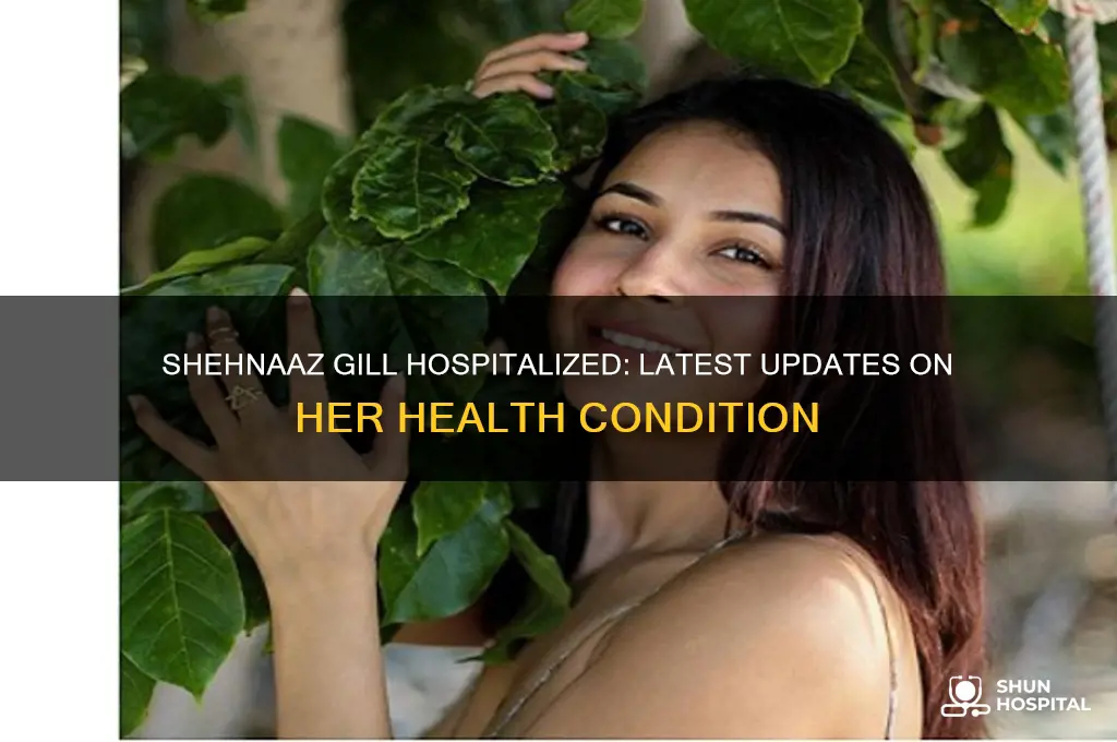 is shehnaaz gill in hospital