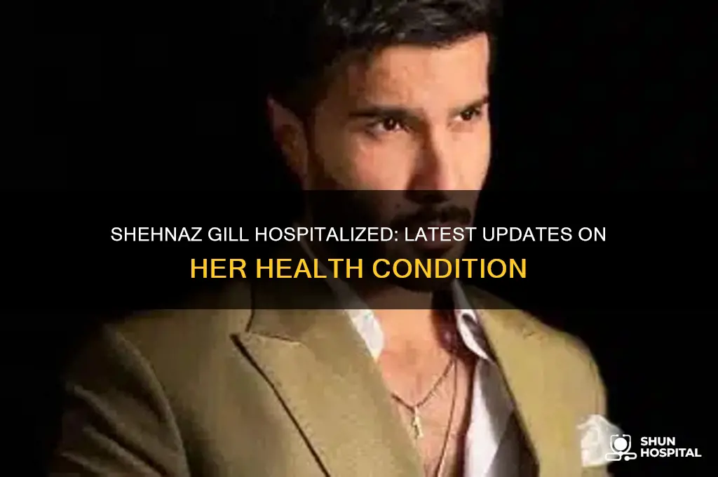 is shehnaz gill hospitalized