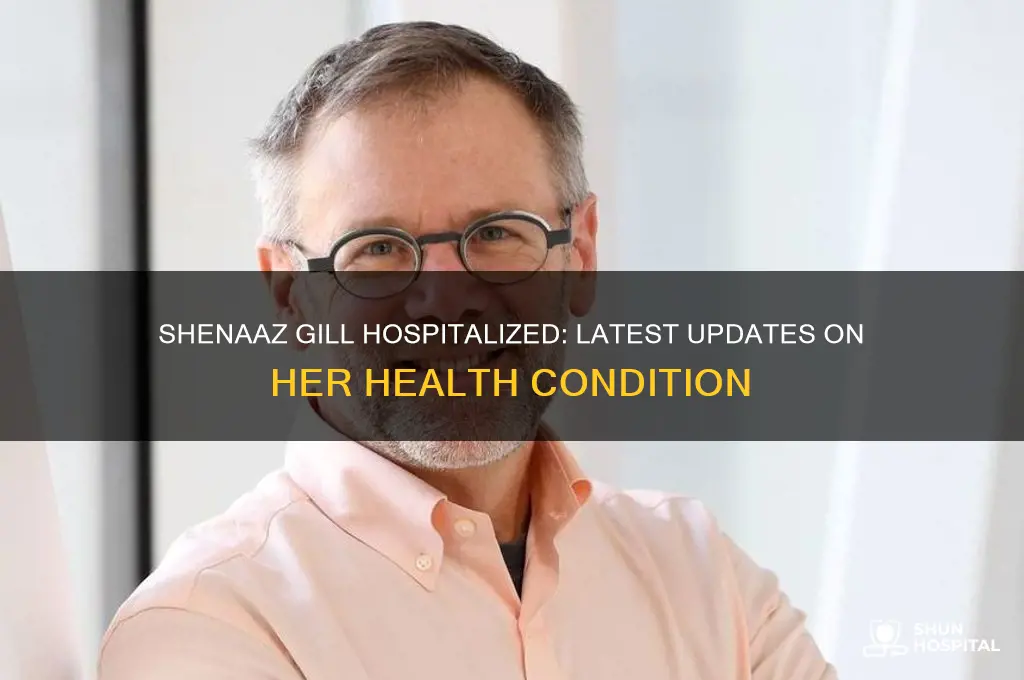 is shenaaz gill in hospital