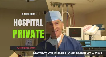 Is Shouldice Hospital Private? Exploring Ownership and Patient Care