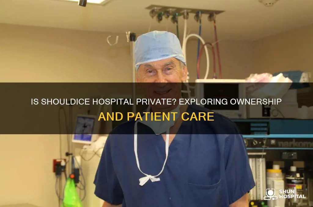 is shouldice hospital private