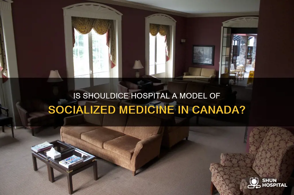 is shouldice hospital socialized medicine