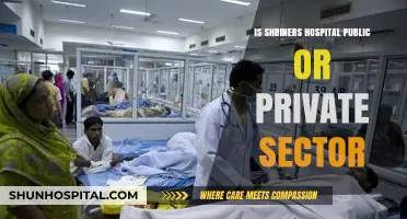 Shriners Hospitals: Private or Public Sector?