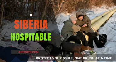 Is Siberia Hospitable? Exploring Its Climate, Culture, and Livability
