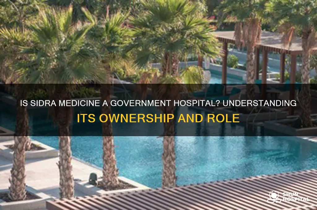 is sidra a government hospital