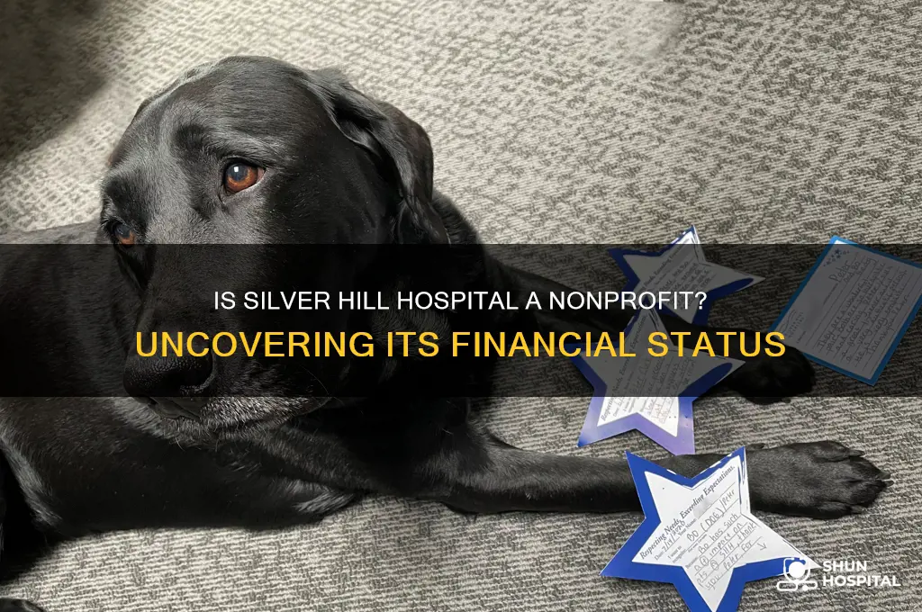 is silver hill hospital nonprofit