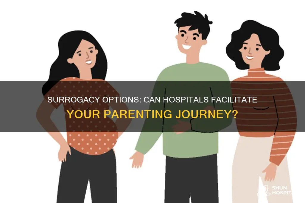 is sorogacy available through hospital
