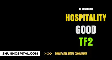 Southern Hospitality in TF2: A Game-Changing Strategy or Overrated Tactic?