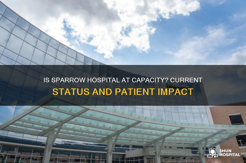 is sparrow hospital at capacity