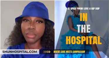 Spice from Love & Hip Hop Hospitalized: What We Know So Far