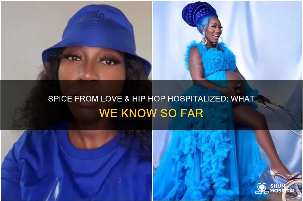 is spice from love & hip hop in the hospital