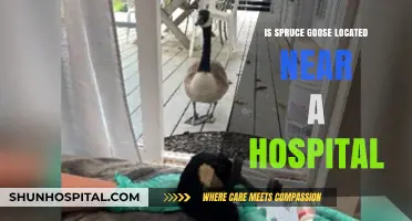 Hospital Access: Spruce Goose's Location Advantages