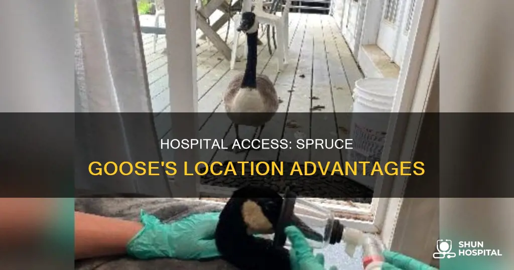 is spruce goose located near a hospital