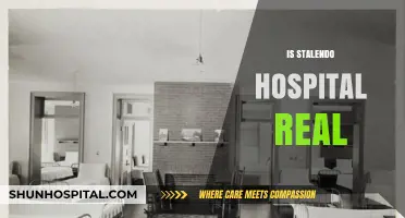 Is Stalendo Hospital Real? Uncovering the Truth Behind the Mystery