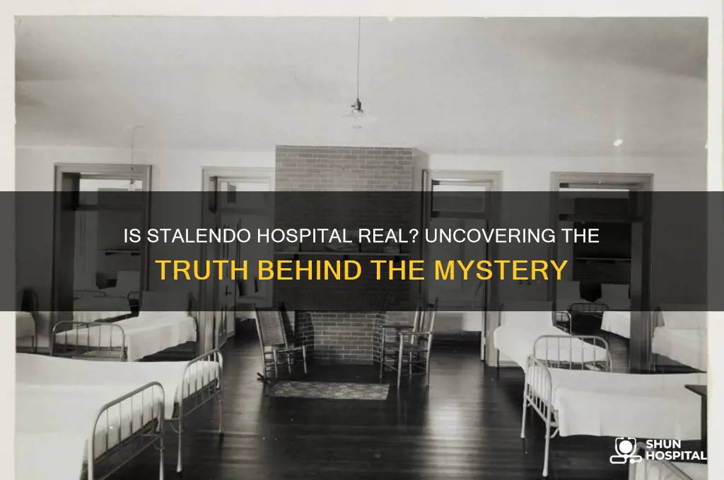 is stalendo hospital real