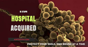 Hospital-Acquired Staph Infections: Causes, Risks, and Prevention Strategies