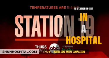 Hospital-Based Drama: Is Station 19 Set in a Hospital?