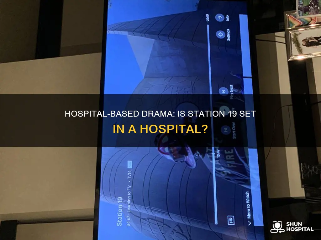 is station 19 set in a hospital