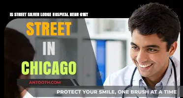 Street Silver Lodge Hospital: Proximity to Chicago's 61st Street Explored