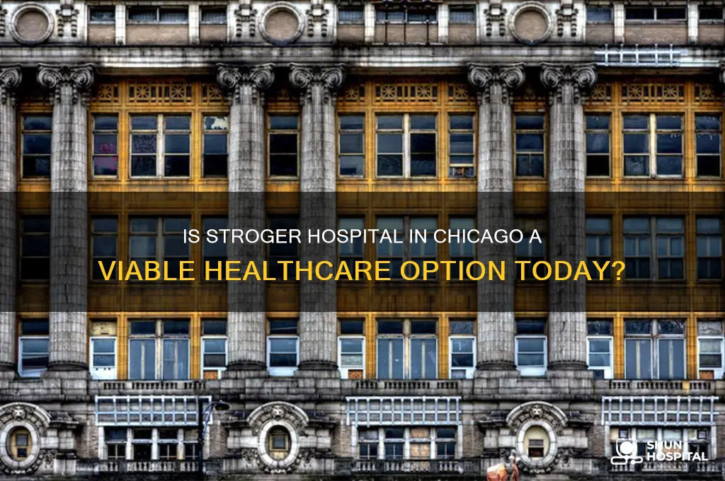 is stroger hospital chicago viable