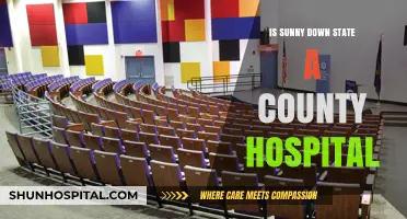 Exploring the Nature of Sunny Down State County Hospital