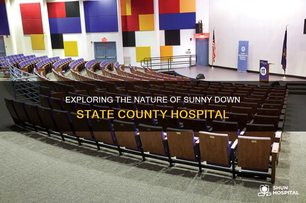 is sunny down state a county hospital