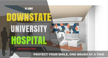 Exploring SUNY Downstate University Hospital: Services, Reputation, and Patient Care