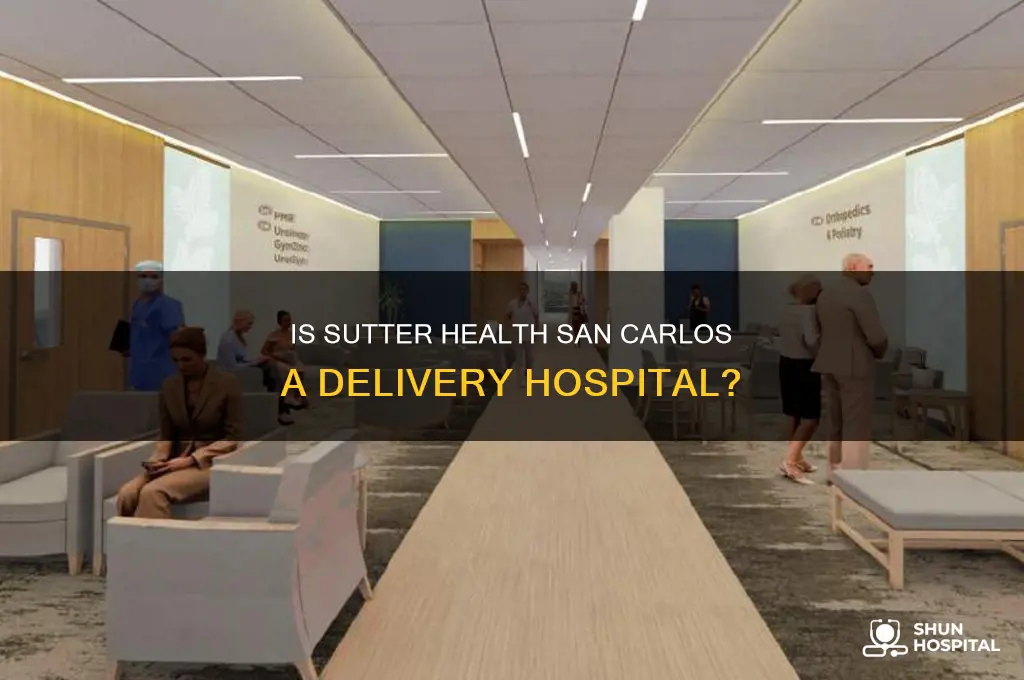 is sutter health on san carlos a delivery hospital