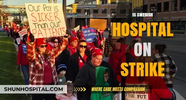 Swedish Hospital Strike: Impact, Causes, and Patient Care Concerns
