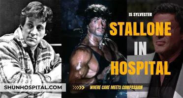 Sylvester Stallone Hospitalized: Latest Updates on His Health Condition