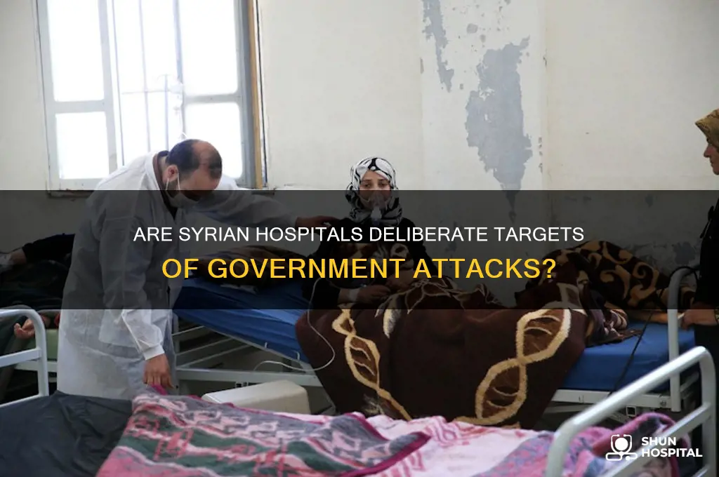 is syrian government targetting hospitals