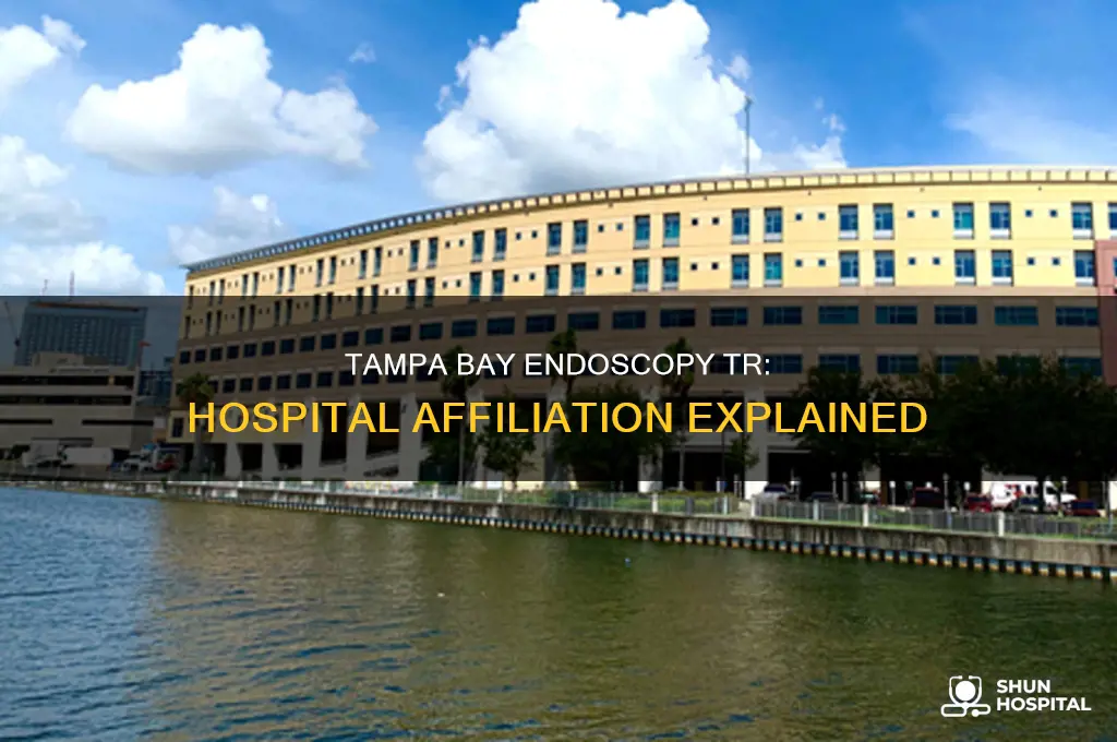 is tampa bay endozcopy tr affiliated to a hospital