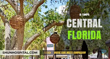 Is Tampa Central Florida? Exploring the Geographic Debate and Location