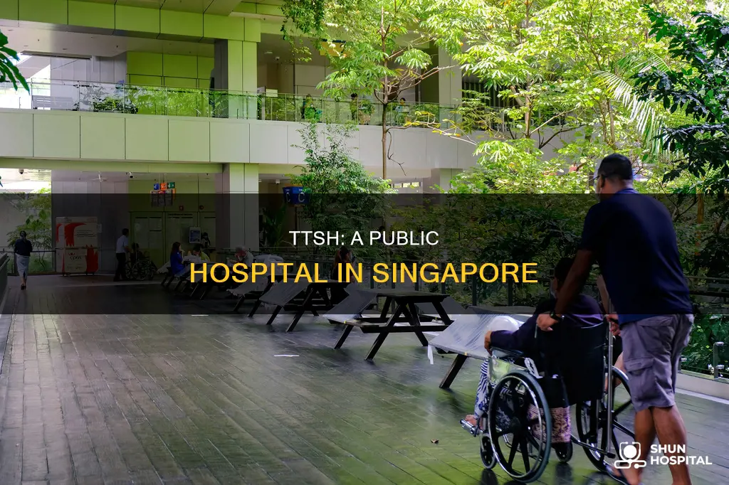 is tan tock seng a government hospital