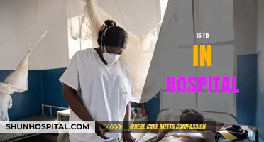 Is TB Spreading in Hospitals? Risks, Prevention, and Patient Safety