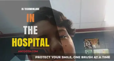 Technoblade's Health Update: Hospitalization Rumors and Community Concerns