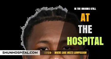 Tee Higgins' Hospitalization: What's Next?