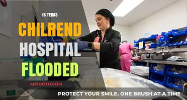 Texas Children's Hospital Flooding: Current Status and Community Response