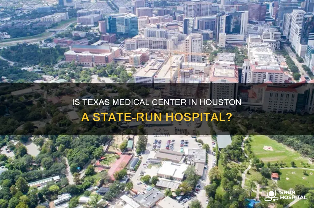 is texas medical center at houston a state hospital