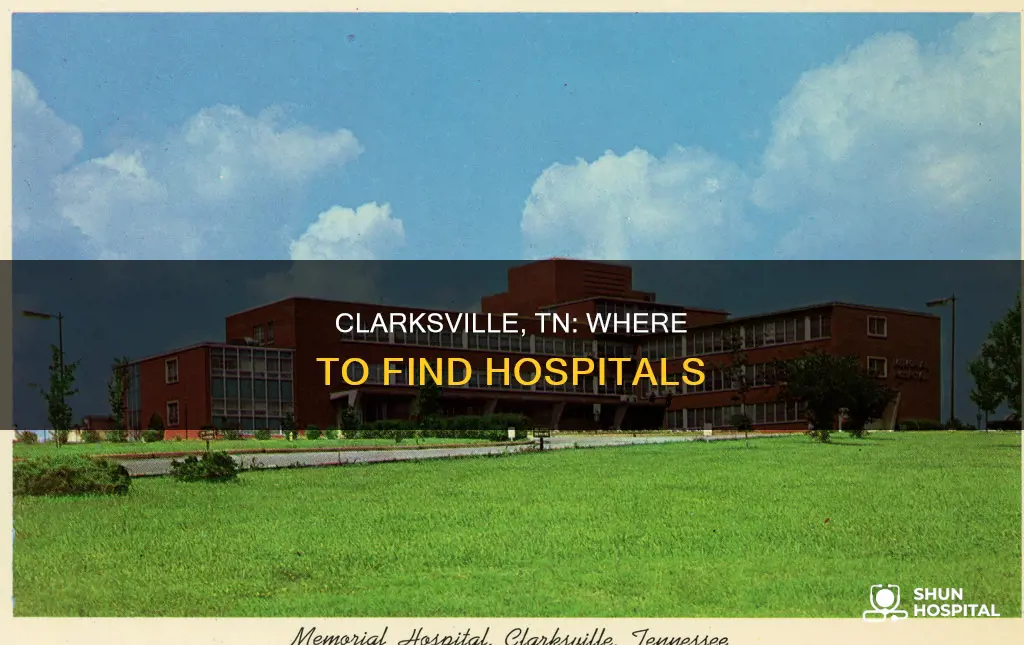 is the a hospital in clarksville tn