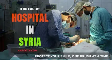 Military Hospitals in Syria: A Reality Check