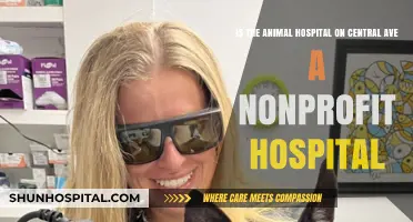 Is Central Ave's Animal Hospital a Nonprofit? Uncovering the Truth